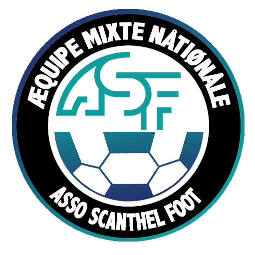 Fichier:LigueCSHFootball.png