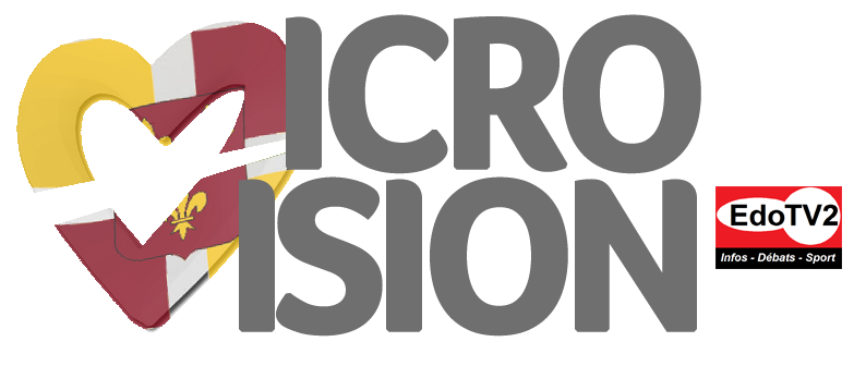 Fichier:Microvision-EDO.png
