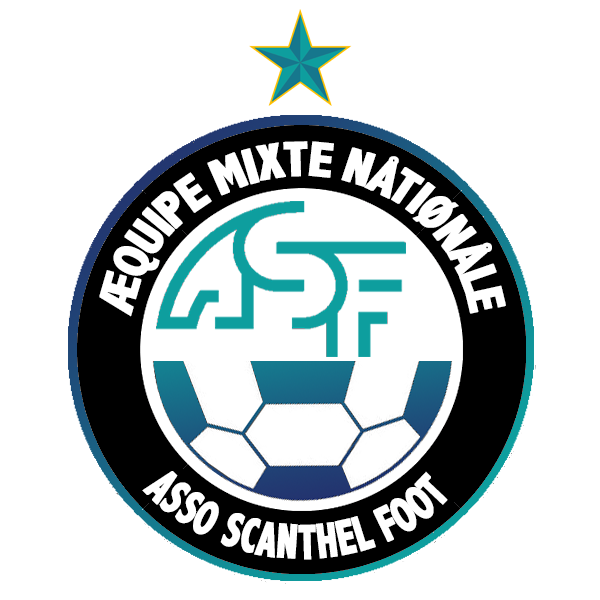 Fichier:LigueCSHFootball2021.png