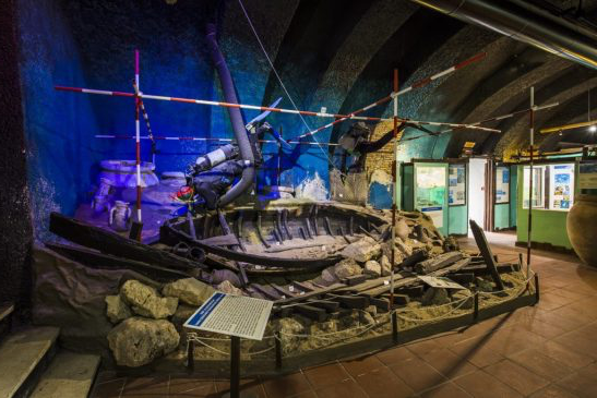 MuséeOcéanique10.png