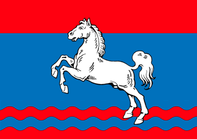 Fichier:Drapeau TindaliCMV.png
