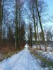 Piste5.jpg