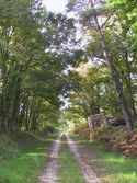Piste1.jpg