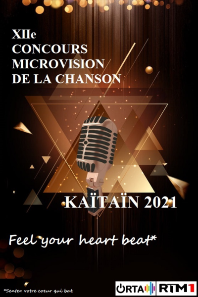Fichier:Microvision12.png