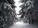 Piste4.jpg