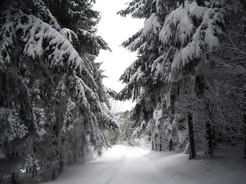 Fichier:Piste4.jpg