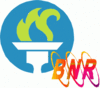 Bnr.gif