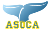 Logoasoca.png