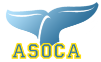Logoasoca.png